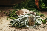 Sage Advice: Seven Health Benefits of Common Sage