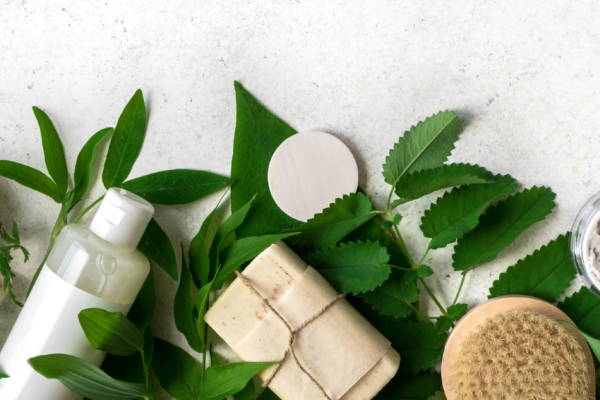 Plant Power: 5 Underappreciated Regenerative Plants in Skin Care