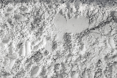 Diatomaceous Earth