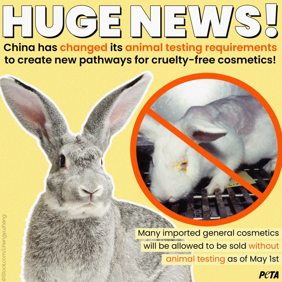 China Announces New AnimalTesting Policy for Cosmetics After PETA Push